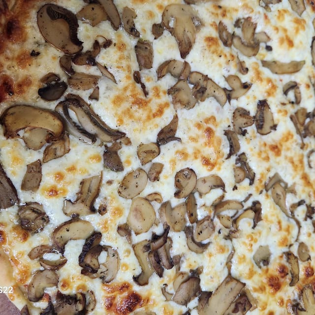 Mushrooms Pizza.